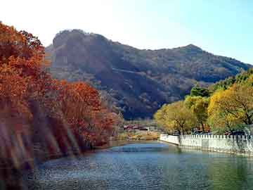 新澳天天开奖资料大全旅游团，全自动测油仪